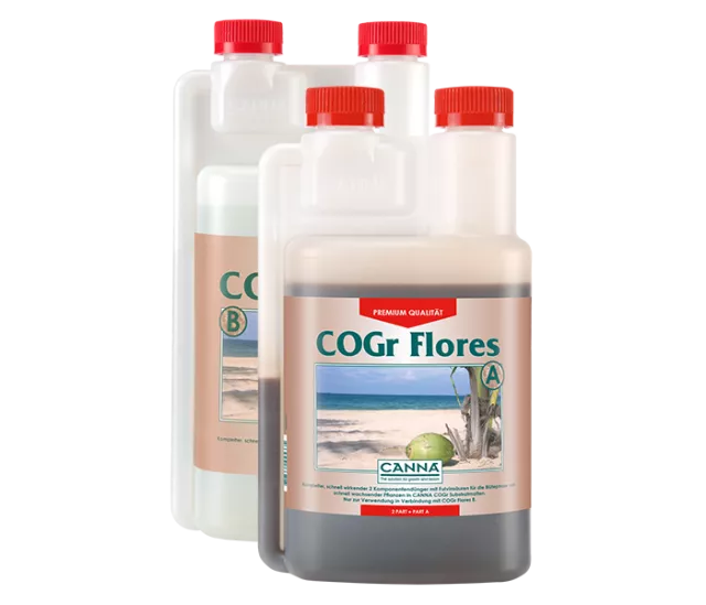 CANNA COGr Flores