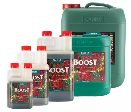 CANNABOOST Accelerator