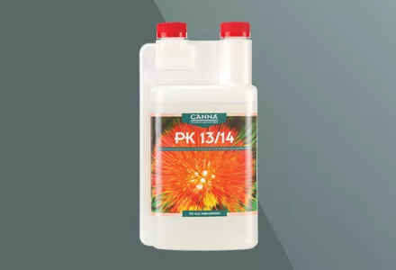 CANNA PK 13/14