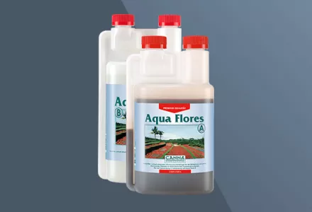 CANNA Aqua Flores
