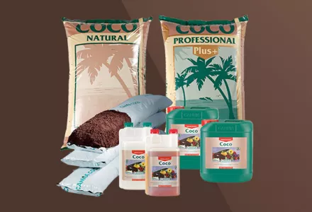 CANNA COCO