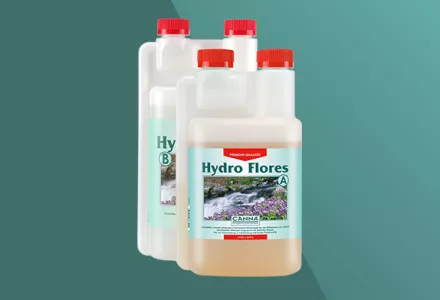CANNA Hydro Flores