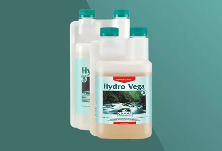 CANNA Hydro Vega