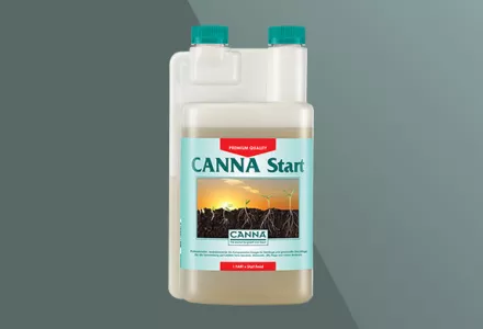 CANNA Start