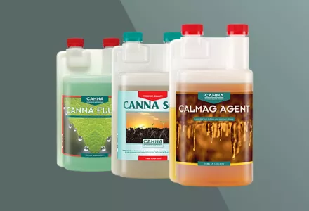 CANNA General Products