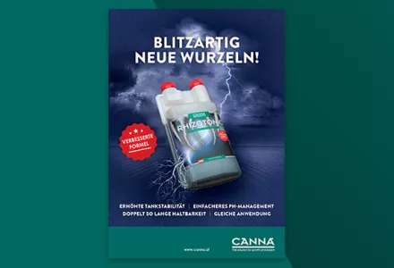 CANNA RHIZOTONIC Infobroschüre