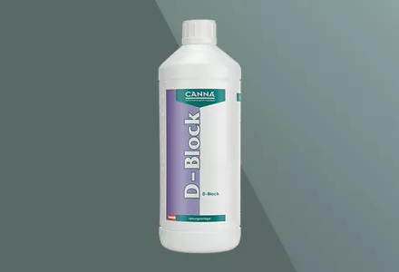 CANNA D-Block