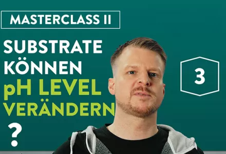 Warum verändern sich die pH-Werte im Substrat?