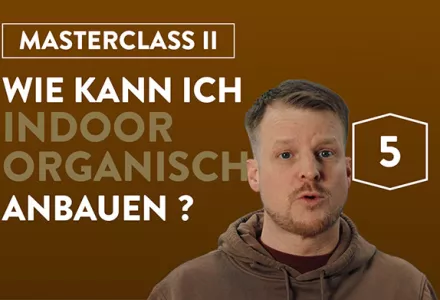 Wie kann ich organisch in Innenräumen anbauen?