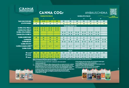 CANNA COGr Düngeschema