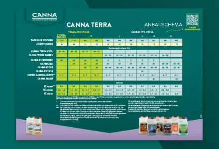CANNA TERRA Düngeschema
