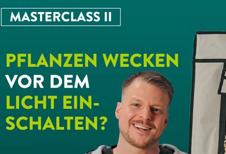 Sollte ich meine Pflanzen aufwecken, bevor ich das Licht einschalte?