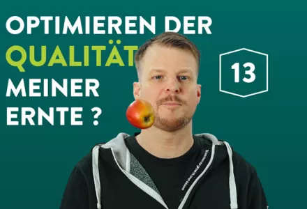 Wie kann ich die Qualität meiner Ernte beeinflussen?