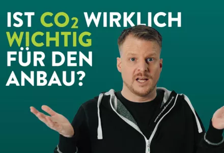Ist CO2 wirklich wichtig für den Anbau?