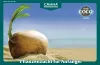 COCO - Pflanzenzucht für Anfänger