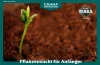 TERRA - Pflanzenzucht für Anfänger