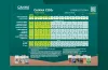 CANNA COGr Düngeschema