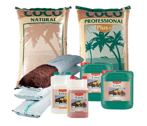 CANNA COCO