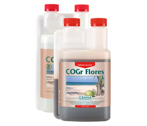 CANNA COGr Flores