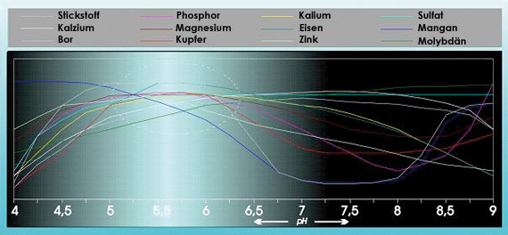 Der pH-Wert - was steckt dahinter?