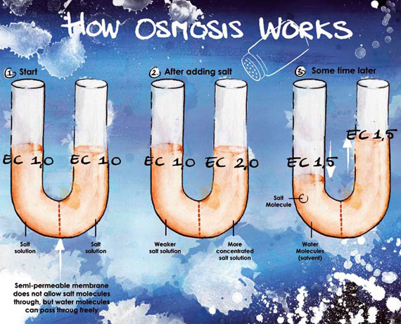 articles-electricalconductivity_text_1