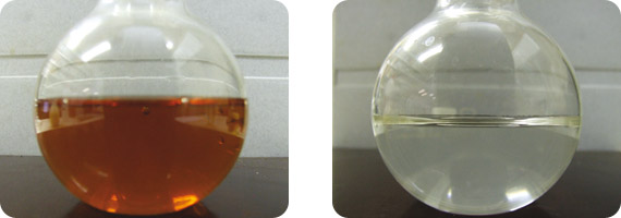 articles-twobottlesonenutrient_text_1