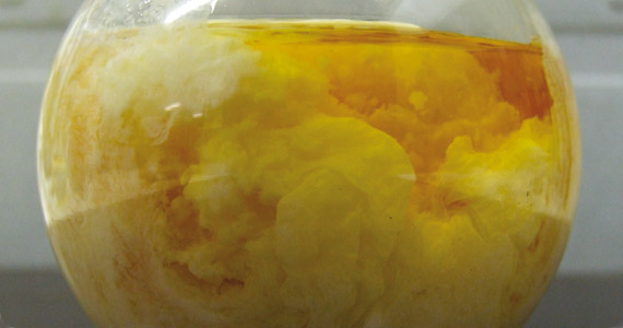 articles-twobottlesonenutrient_text_2