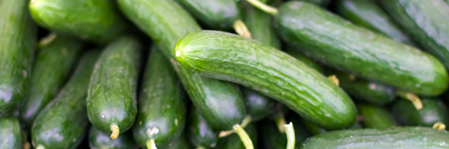 Grow it yourself: Cucumber