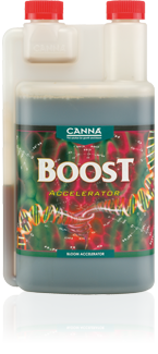 CANNABOOST Accelerator