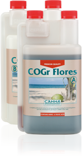 CANNA COGr Flores