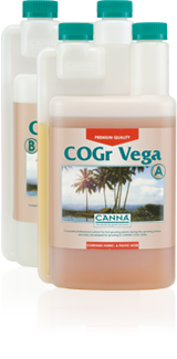 CANNA COGr Vega