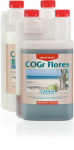 CANNA COGr Flores