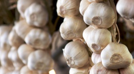 Selbst anbauen: Knoblauch
