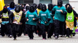 Der Great Gorilla Run in London - mit Unterstützung von CANNA