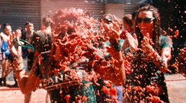 Veni, vidi, vici – La Tomatina 2014